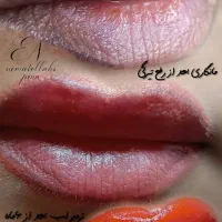 میکرو ابرو هاشور خط چشم شیدلب ریموو پلکسر میکرونید|خدمات آرایشگری و زیبایی|تهران, شارق|دیوار