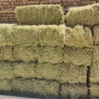 پرس یونجه درجه یک خشک