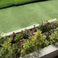 مشاور املاک