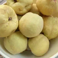 الو  و به و کشمش آفتابی ارزان|خوردنی و آشامیدنی|یزد, |دیوار