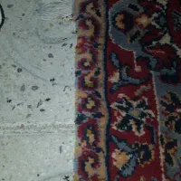 فرش 12متری 700شانه دستبافت|فرش|کرمانشاه, |دیوار