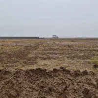 ۵۰۰۰ متر زمین کشاورزی تک برگ سند|فروش دفتر صنعتی، کشاورزی، تجاری|تربت جام, جامرود|دیوار