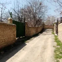 هشتگرد-فشند-خیابان-عالی-چنار