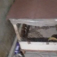 باسلام وعرض ادب