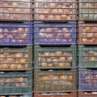 پرتقال نایلون پیچ 140تن