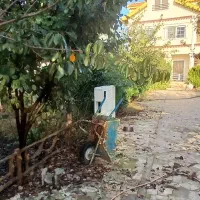 باغبانی /فضای سبز/ سمپاشی/ هرس /علف زنی