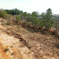 خانه باغ