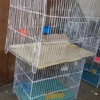 قفس پرنده|لوازم جانبی حیوانات|اهواز, حصیرآباد|دیوار