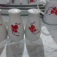 ظروف چینی