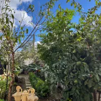 فروش ویلای(۴۵۰) متری استخر دار در فومن|فروش خانه و ویلا|رشت, آزادگان|دیوار