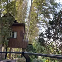 فروش ‌نصب چوب ترمو پارکت|خدمات پیشه و مهارت|تهران, دکتر هوشیار|دیوار