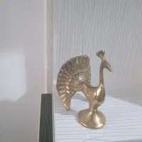 طاووس برنزی