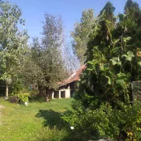 زمین ۲۰۰ متری مسکونی گیلان