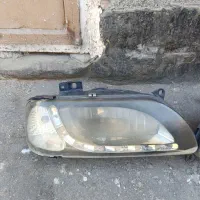 کفتر جفگاه|پرنده|مشهد, نوید|دیوار