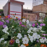 اجاره مغازه بزرگ در ۲۴ متری شهرک نقنه|اجارهٔ مغازه و غرفه|بروجن, |دیوار