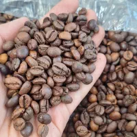 انواع دانه و پودر قهوه .گلد کاپوچینو.نسکافه.ماسالا