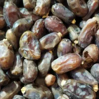 خرمای استعمران