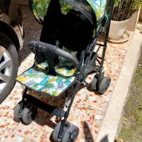 کالسکه عصایی دلیجان