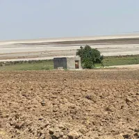 فروش زمین کشاورزی بارانی پایاب سدحسنلو