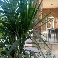 استخدام حسابدار