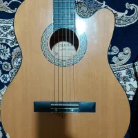 گیتارکلرادوباکاورودفترنت|گیتار، بیس، امپلیفایر|مشهد, شهید قربانی|دیوار