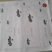 الگو رگالی