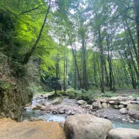 پرستارکودک برای نه ماه