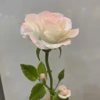 رز های بزرگ هلندی|صنایع دستی و سایر لوازم تزئینی|تهران, قناتکوثر|دیوار