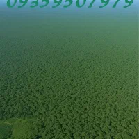 سیم‌کارت ایرانسل