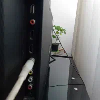 ال ای دی43 TCL|تلویزیون و پروژکتور|گلبهار, شهر جدید گلبهار|دیوار