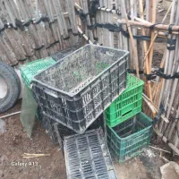 صدتا سبد ب بالا دانه  ۸۰ مشتری  واقعی تماس