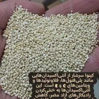 کینوا برای کودکان وسالمندان|خوردنی و آشامیدنی|شیراز, شهرک امام حسن|دیوار