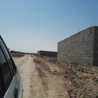 زمین گورک کله بندی