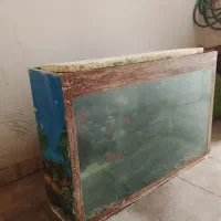 آکواریوم