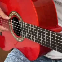 گیتار پیکاپدار