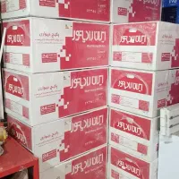 پکیج شوفاژ دیواری ایران رادیاتور(L24FF)