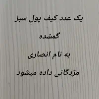 یک عدد کیف پول سبز زنانه گمشده مژدگانی داده میشود