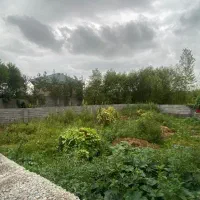 فروش زمین مسکونی سنددار|فروش زمین و ملک کلنگی|رشت, لاکان شهر|دیوار