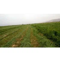 زمین-1000متری-ابپرده-کودیان