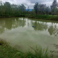 فروش فوری ملک با امتیاز پرورش ماهی و بومگردی