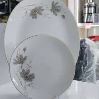 فروش ویژه آرکوپال مقصود|ظروف سرو و پذیرایی|قزوین, |دیوار