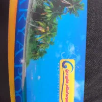 بیلیط استخر دریا