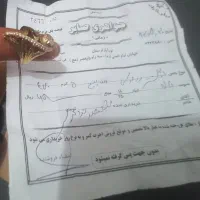 فروش ۷ عدد انگشتر طلا ۱۰۰ بالا خام