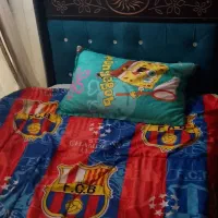 دو عدد. تخت تمیز در حد نو دو رنگ سالم|تخت و سرویس خواب|شاهین‌شهر, گرگاب|دیوار