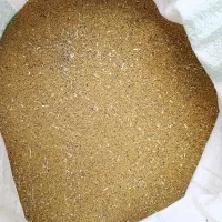 بذر یونجه دیم