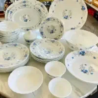 ظروف پارس اوپال