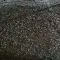 کود مرغ|خدمات باغبانی و درختکاری|جیرفت, |دیوار