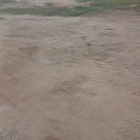 کیوسک|فروشگاه و مغازه|کارون, |دیوار