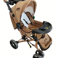 کالسکه دلیجان