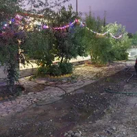 اجاره روزانه باغ ویلا با محیطی زیبا وبا صفا|اجارهٔ کوتاه‌مدت آپارتمان و سوئیت|الیگودرز, |دیوار
